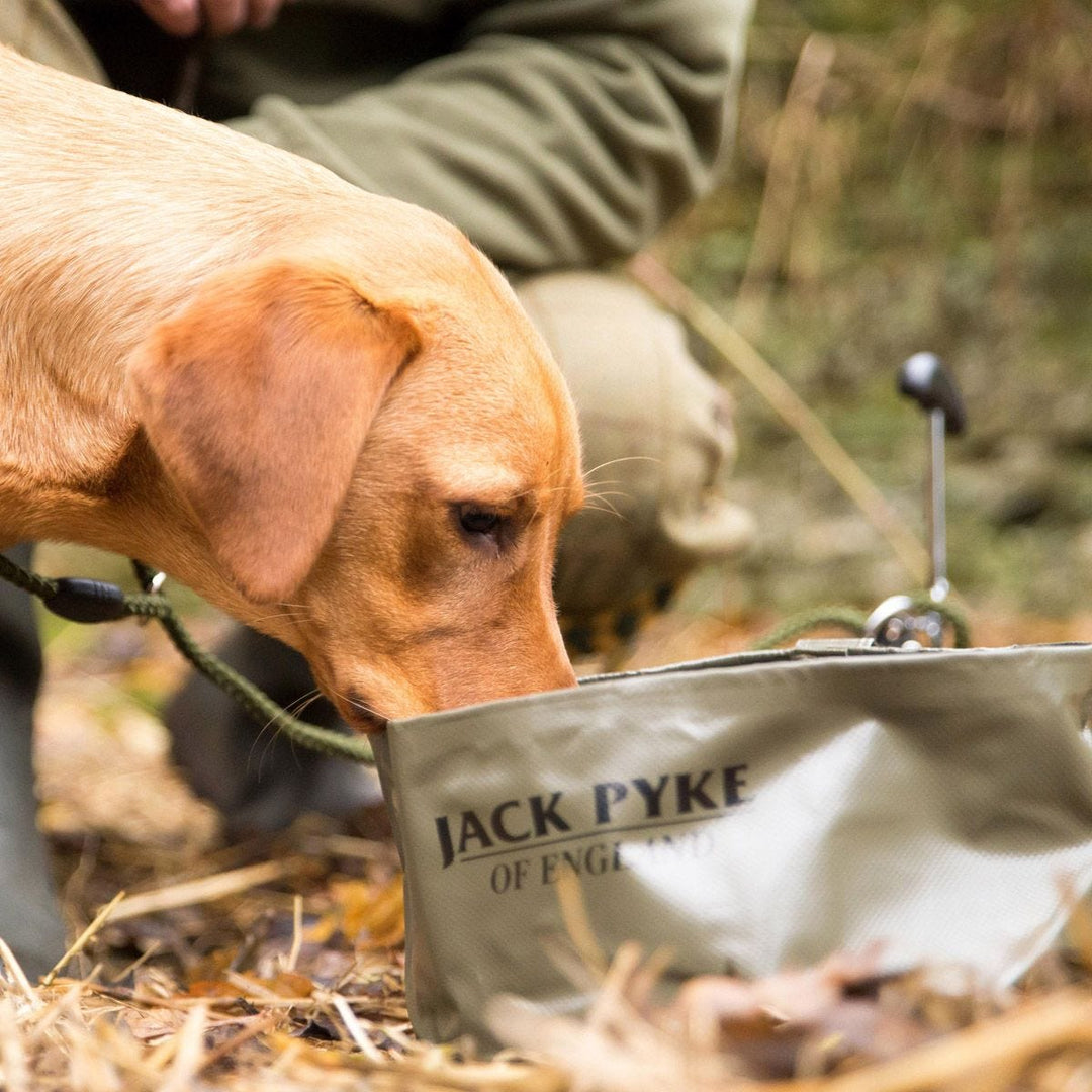 Jack Pyke Folding Dog Bowl Green