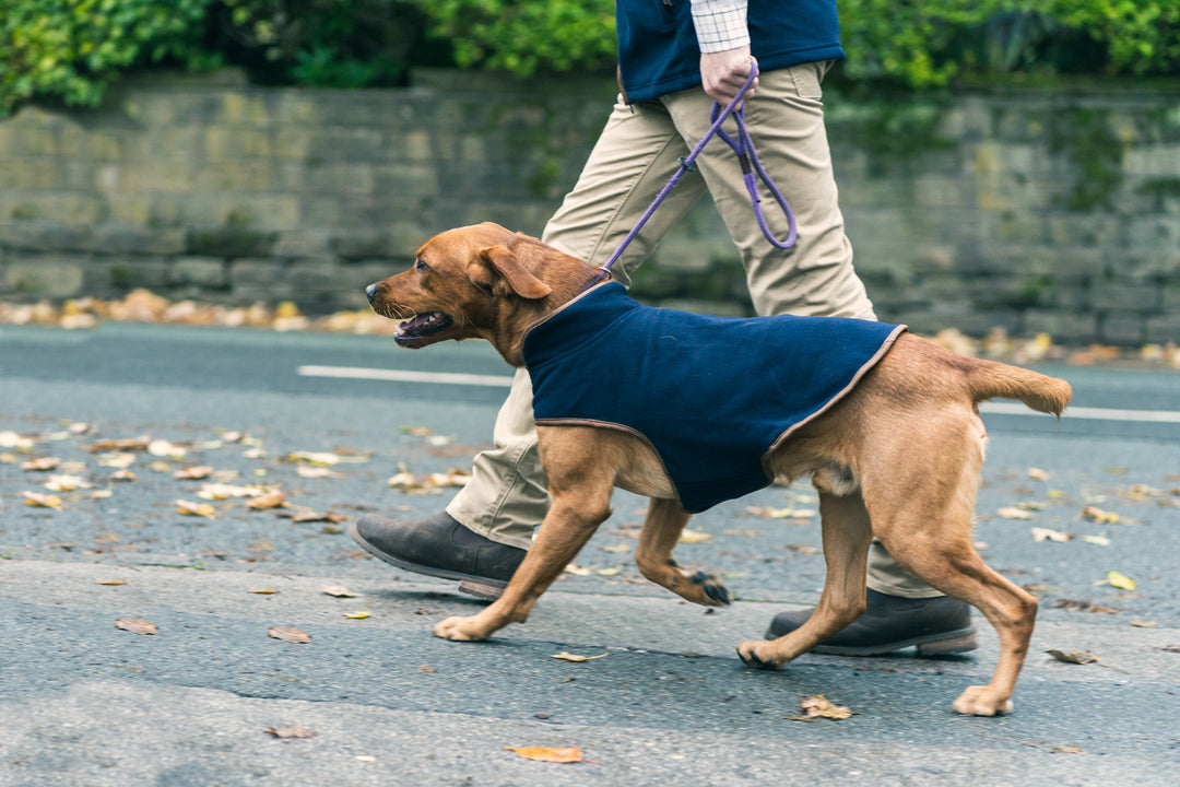 Jack Pyke Fleece Dog Coat Dark Olive