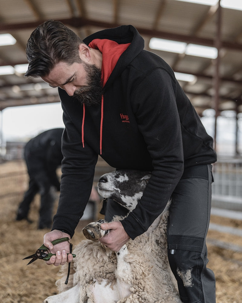 Hoggs Of Fife Hoggs Professional Hoodie Black/Red